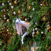 Белая лошадь :: Сергей Карачин