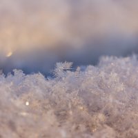 Необычная снежинка :: Алексей Булак