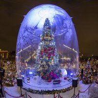 Ёлка. :: Николай Галкин Ёлка. :: Николай Галкин