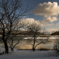 Водохранилище. :: Сергей Воротников