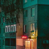 *** :: Яна Горбунова