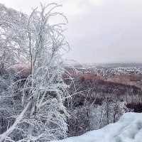 В снежном царстве :: Nina Karyuk