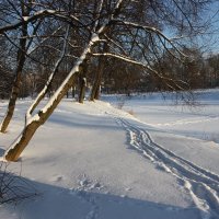 Поехали! :: ZNatasha -