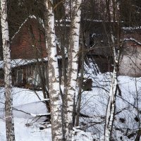 Незатейливый сюжет со снегом и белоствольными... :: Лилия *