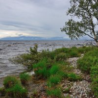 *** :: Александр Хаецкий *** :: Александр Хаецкий