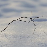 Не шедевр. Но, нравится. :: Андрей Андрианов Не шедевр. Но, нравится. :: Андрей Андрианов