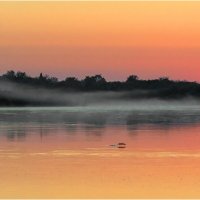 На бреющем :: Валентин Котляров