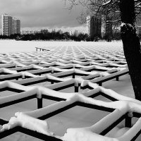 Снежные квадраты. :: Василий Палий