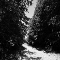 Фотография :: Денис Безногов