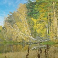 Осень :: Владимир Кириченко Осень :: Владимир Кириченко