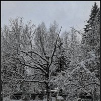 Дачные зарисовки :: Ольга Довженко