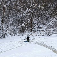 Не клюёт! :: Милешкин Владимир Алексеевич 