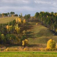 Про осень. :: nadyasilyuk Вознюк