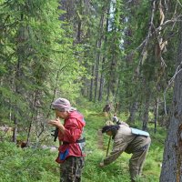 Черникой полакомимся. :: ВикТор Быстров