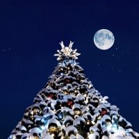 Полнолуние :: Наталья Вязигина Полнолуние :: Наталья Вязигина