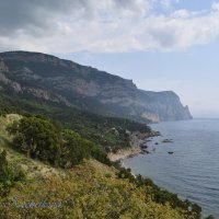 Природа Крыма :: Amazing Cosmea