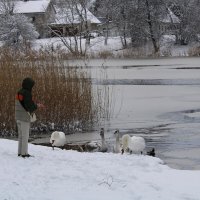 *** :: Aleksandr Gal