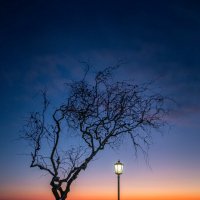 Два одиночества :: Ирина Два одиночества :: Ирина