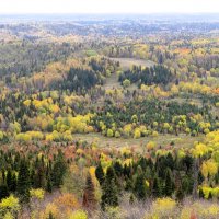 Белогорье. Осень. :: Лариса С.