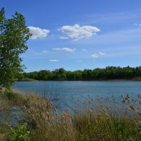 **** :: Виктор 