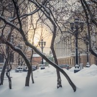 Зимняя зарисовка :: Nyusha .