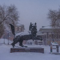 Бабр в снегу :: Павел Крутенко