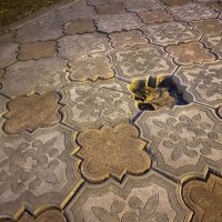 Матрица. :: Alexey YakovLev