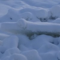 Ледяной крокодил! :: Anna-Sabina Anna-Sabina