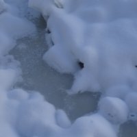 Все во льду! :: Anna-Sabina Anna-Sabina