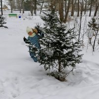 Тепло ли тебе девица ?... :: Мила Бовкун