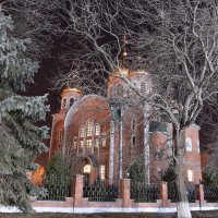 С наступающим Рождеством! :: Надежда Куркина 