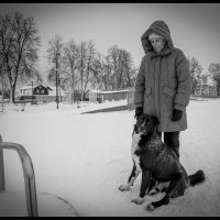 Бездомная собака прижалась к проходящей мимо женщине! :: Борис Яковлев