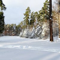 Смоленская область в начале января. :: Милешкин Владимир Алексеевич Смоленская область в начале января. :: Милешкин Владимир Алексеевич