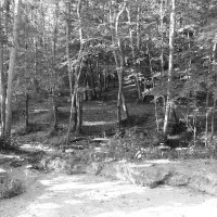 Фотография :: Денис Безногов