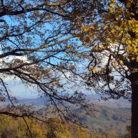 ДАГОМЫС :: Tata Wolf