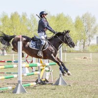 Конкур :: SanSan 