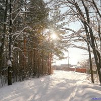 О прогулках на Рождество :: Андрей Заломленков