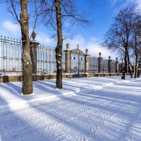 Зимний Летний сад :: Евгений