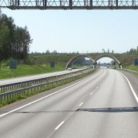 Тоннель вблизи поселка Пюхтяа :: Александр Ильчевский Тоннель вблизи поселка Пюхтяа :: Александр Ильчевский