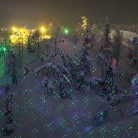 Ночь в Таинственном лесу :: Ольга 