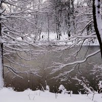 Декабрь Парк Южный, Калининград :: Рита Симонова