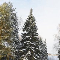 пейзаж :: Владимир 