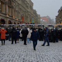 Строгий фейс контроль. :: Наталья Вязигина