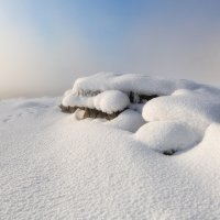 Солнечный берег :: Марина Фомина.