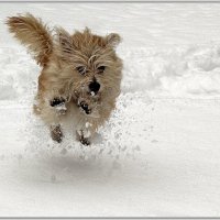Три секунды, полёт нормальный. :: Владимир Попов