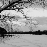 Зимний пруд. :: Василий Палий