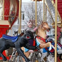 В новый год на коне) :: Митяй Митрич