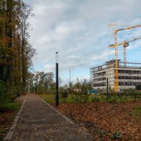 Новый корпус... :: Николай Гирш
