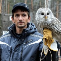 С птичкой :: елена беликова