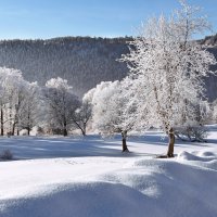 winter Märchen :: Elena Wymann